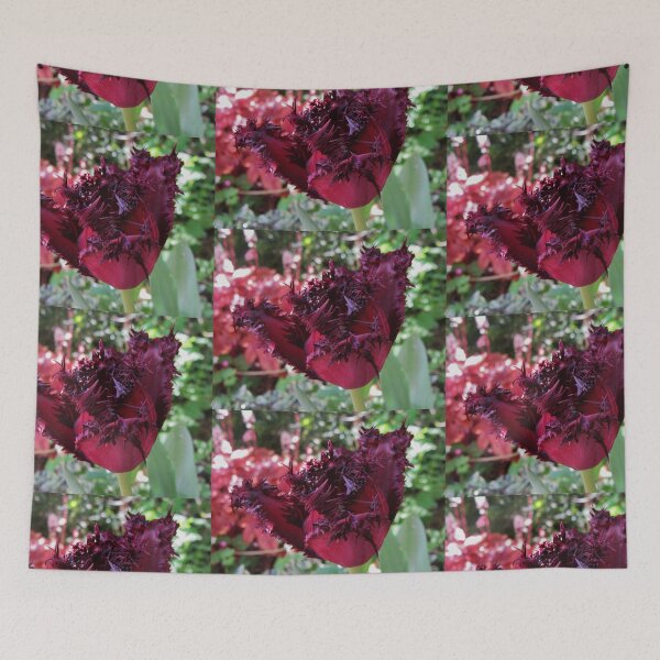 Item preview, Fringe Tulip (variety - Gorilla) designed and sold by lezvee.