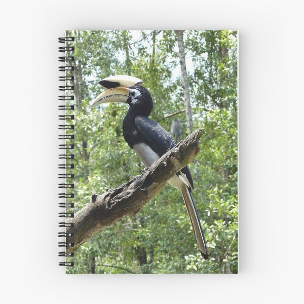 Item preview, Oriental Pied Hornbill designed and sold by Trish Meyer.