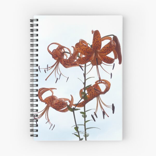 Item preview, Tiger Lilies designed and sold by Trish Meyer.