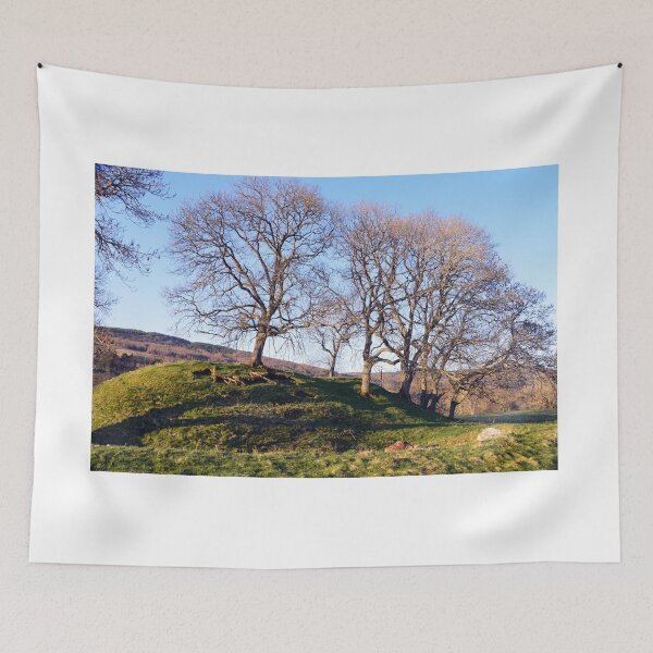 Item preview, Clan Donnachaidh designed and sold by bradleyduncan.