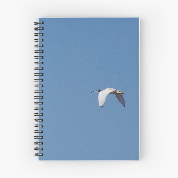 Item preview, Ibis In Flight designed and sold by lezvee.