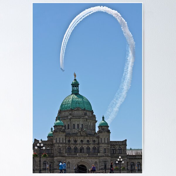 Item preview, Snowbirds and the Legislature designed and sold by Anne McKinnell.