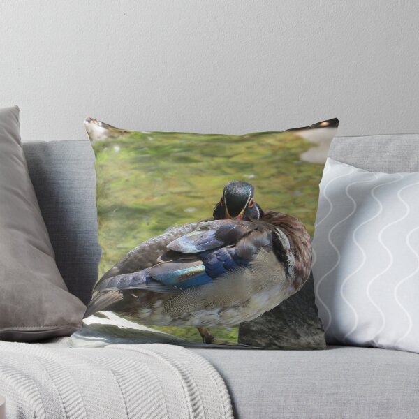 Item preview, BEAUTIFUL WOOD DUCK VISITING SHUBIE PARK designed and sold by Monica-Stroud.