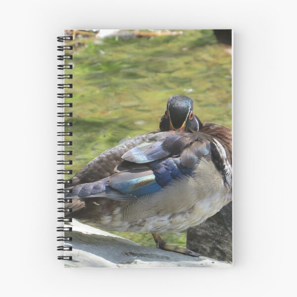 Item preview, BEAUTIFUL WOOD DUCK VISITING SHUBIE PARK designed and sold by Monica-Stroud.