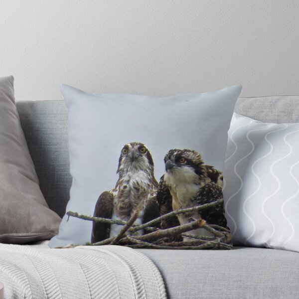 Item preview, OSPREY PAIR HIGH IN THE NEST designed and sold by Monica-Stroud.
