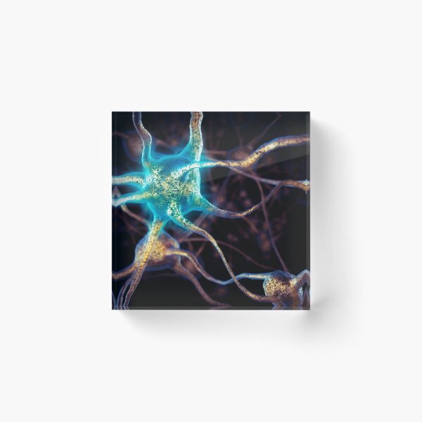 Brain cells network of neurons 3D illustration art photo print Acrylic Block