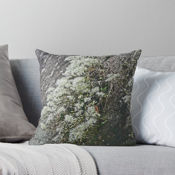 Item preview, Dockrillia Linguiforme - Button or Tongue Orchid designed and sold by Margaret  Hyde.