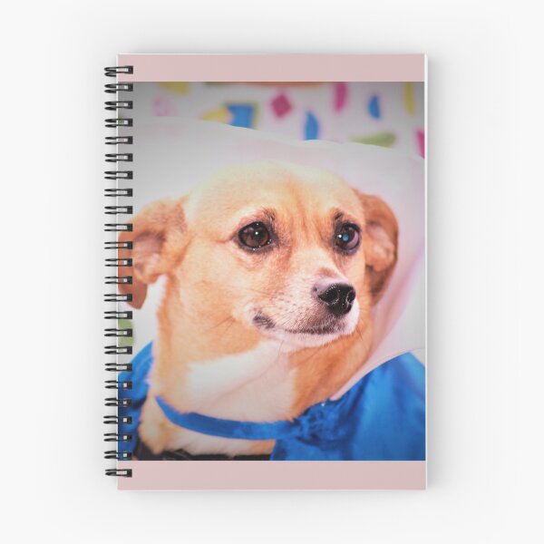 Item preview, Doggy school grad designed and sold by B. Randi Bailey.