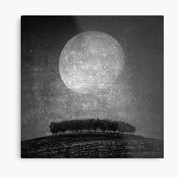 Moonlight serenade Metal Print