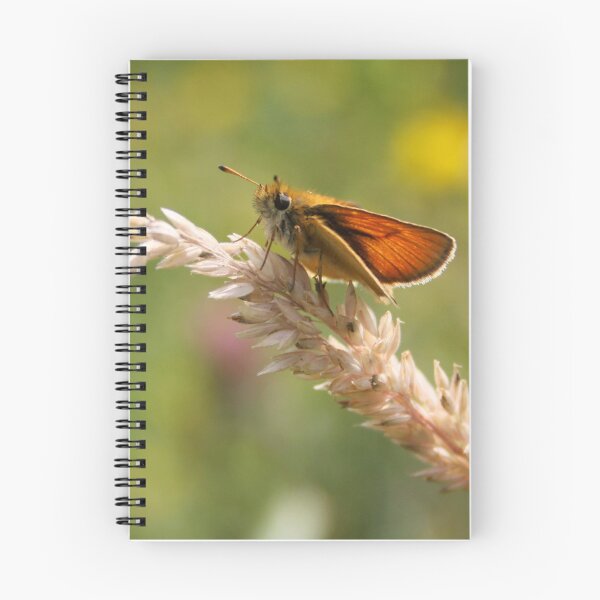 Item preview, Essex Skipper designed and sold by Jo Nijenhuis.