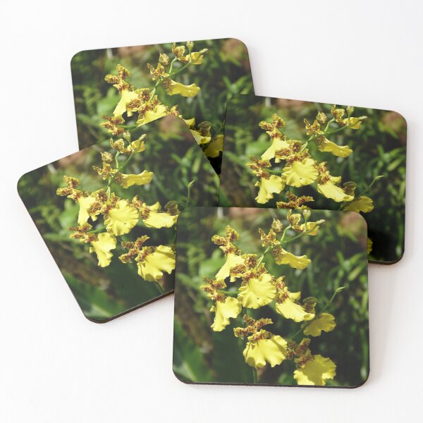 Item preview, Orchid Oncidium sphacelatum designed and sold by Trish Meyer.