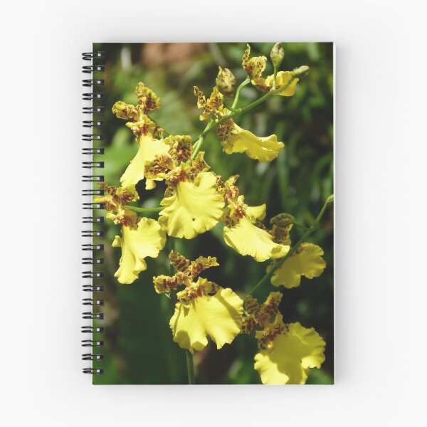Item preview, Orchid Oncidium sphacelatum designed and sold by Trish Meyer.