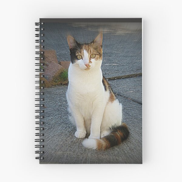 Item preview, Audrey's Cat designed and sold by Trish Meyer.