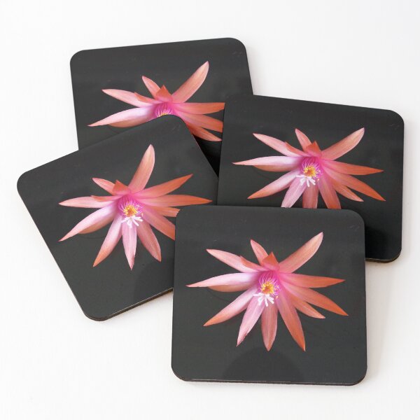 Item preview, Zygocactus 2 designed and sold by Trish Meyer.