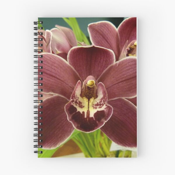 Item preview, Orchid Show 1 designed and sold by Trish Meyer.