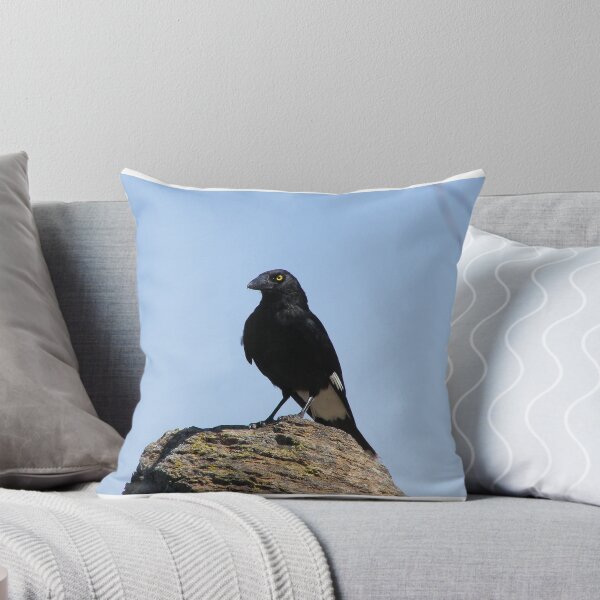 Item preview, I DEMAND YOU SHARE YOUR LUNCH! Cheeky Currawong on 'The HighTops,'Warrumbungle Nat. Park. N.S.W.   designed and sold by RitaBlom.