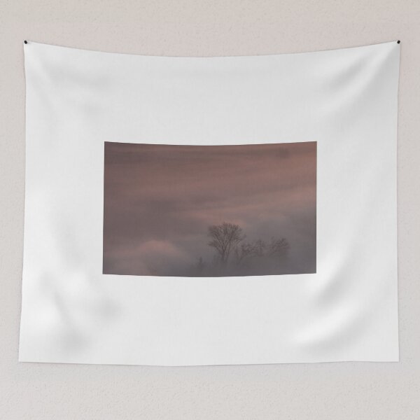 Item preview, Trees in the morning mist designed and sold by pietrofoto.