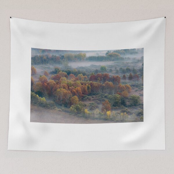 Item preview, Autumn trees  designed and sold by pietrofoto.
