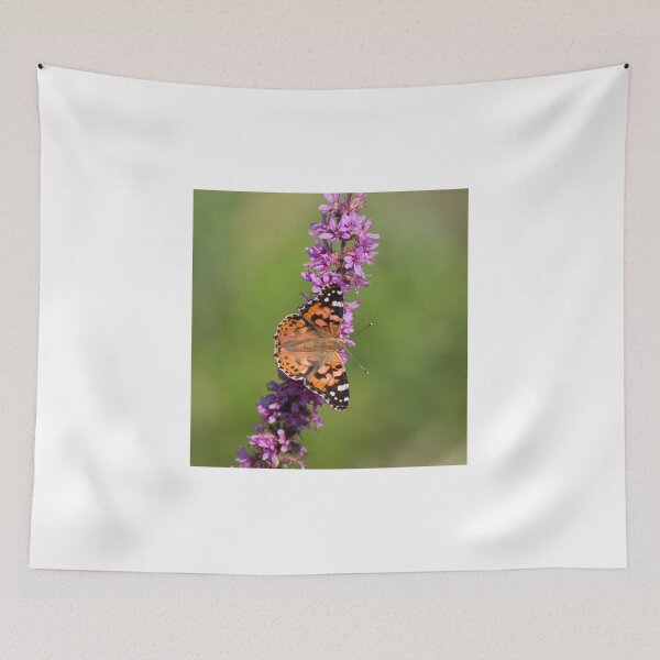Item preview, Painted lady butterfly designed and sold by pietrofoto.