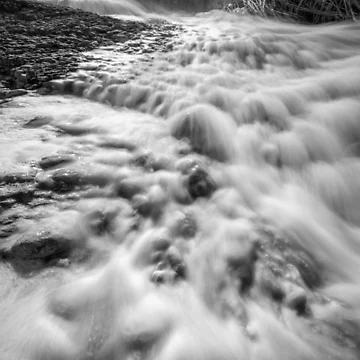 Artwork thumbnail, After The Rains by Ralph Goldsmith