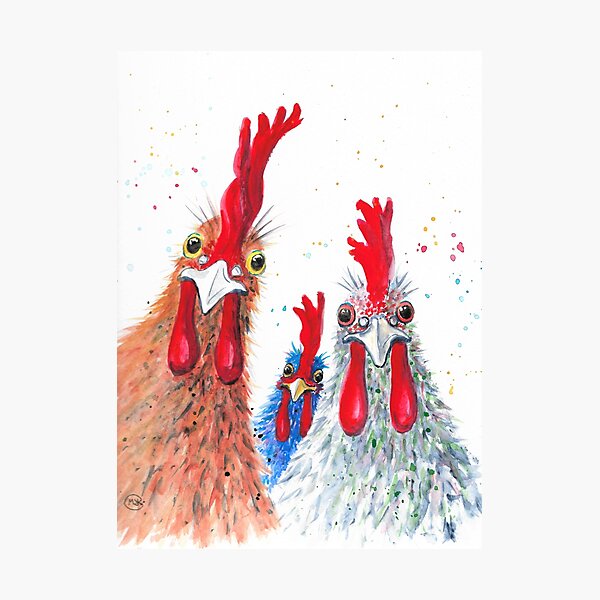 Chicken Ladies, Hen, Chicken, Rooster, Bird Photographic Print