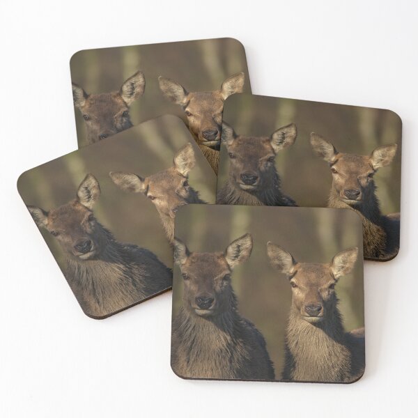 Item preview, Red Deer Posing designed and sold by rawshutterbug.