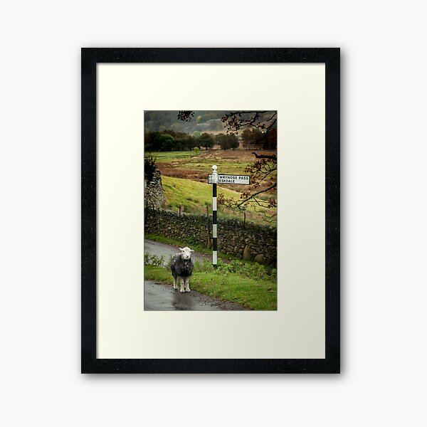 Item preview, Lost Sheep, Lake District, England designed and sold by Mark Howells-Mead / Permanent Tourist.
