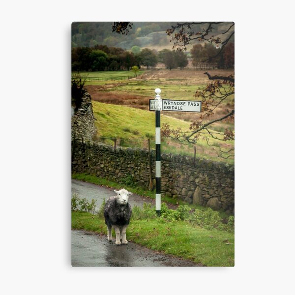 Item preview, Lost Sheep, Lake District, England designed and sold by Mark Howells-Mead / Permanent Tourist.