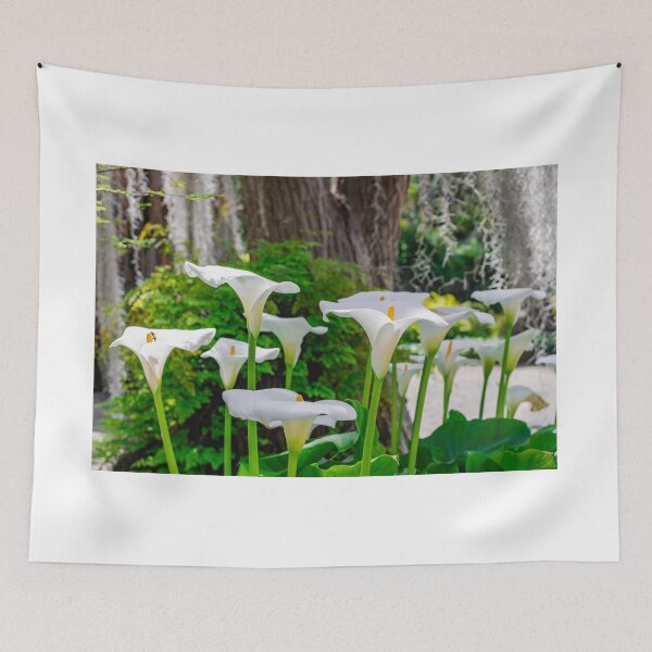 Item preview, White calla lily designed and sold by Martin Leber.