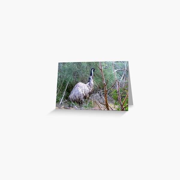 Item preview, *Large Emu wandering through Tower Hill, Vic. Australia* designed and sold by EdsMum.