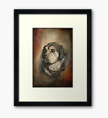 Tina Framed Print
