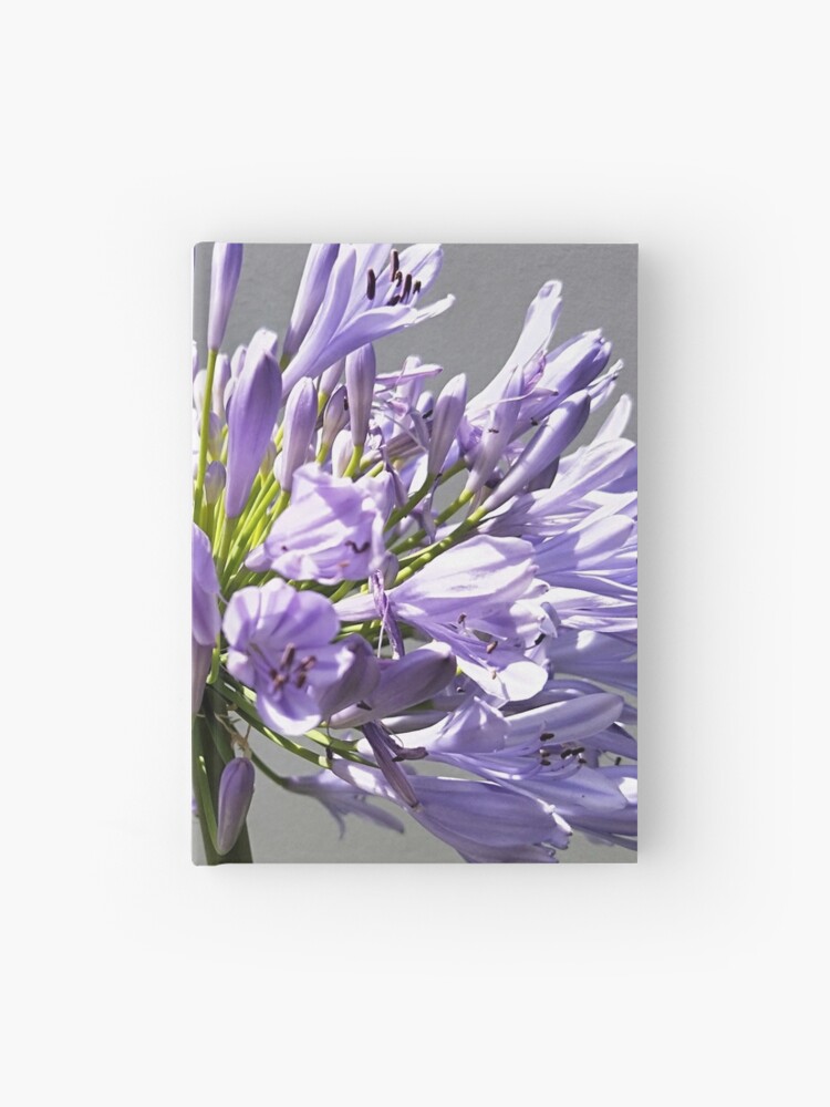 Cuaderno de tapa dura «Fotografía HD De Flor Morada Larga» de adriyee |  Redbubble