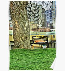 Urban Tree Surviving in City Poster