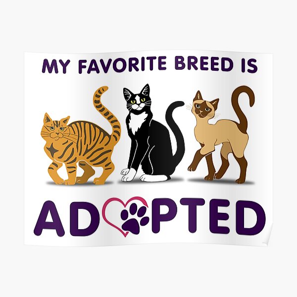 My Favorite Breed is Adopted Poster