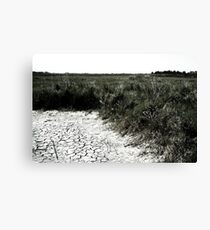 Dry Earth Canvas Print