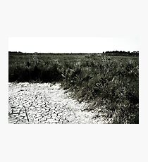 Dry Earth Photographic Print
