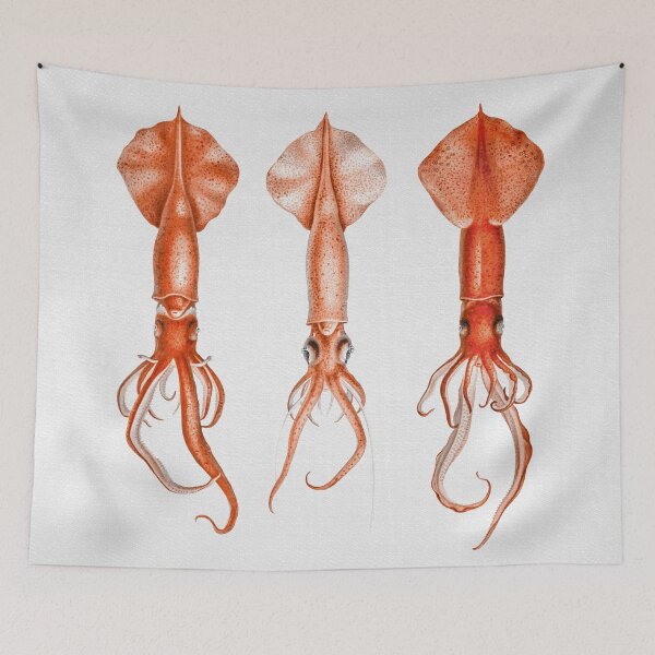 Item preview, Squids - Watercolor designed and sold by galdesign.