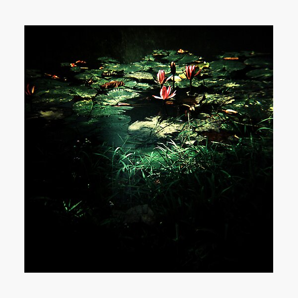 Photographic Print