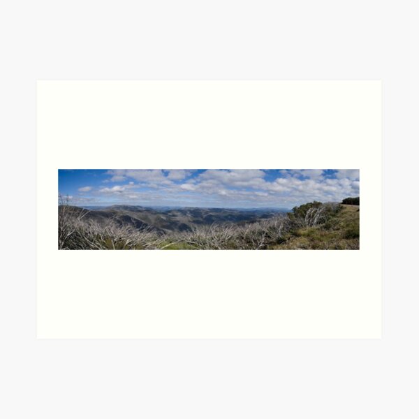 Fields of View Art Print