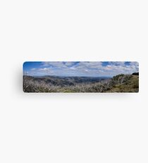 Fields of View Canvas Print