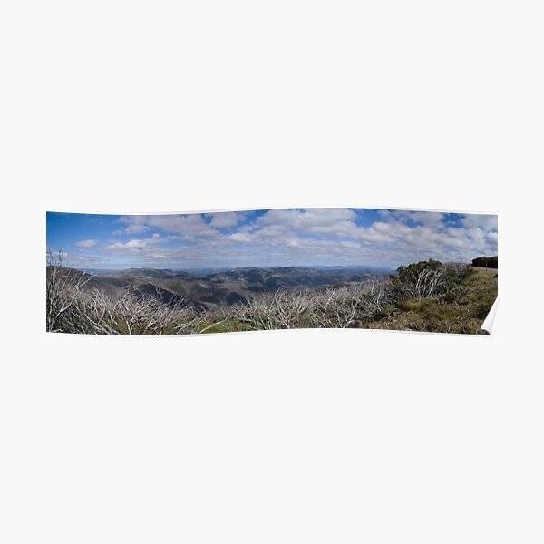 Fields of View Poster