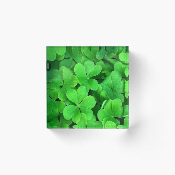 Lucky Four Leaf Clover Acrylic Block