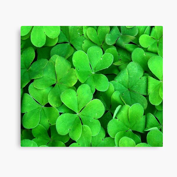 Details about   Lucky Irish Four Leaf Clover Canvas Poster Wall Art Print Picture Framed JJ095 