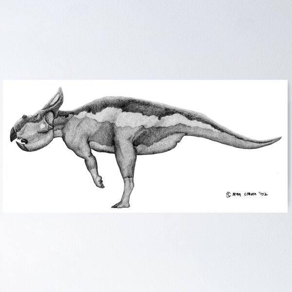 Protoceratops andrewsii Poster