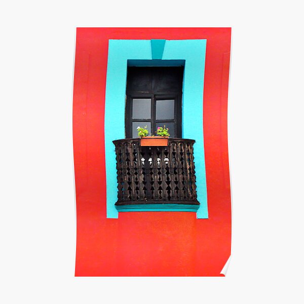 Well-Framed with a Window Box Poster