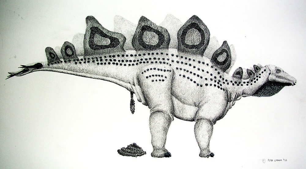 stegosaurus feet