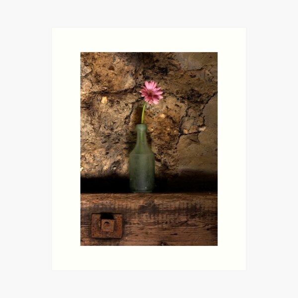 Pink gerbera flower Art Print
