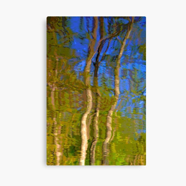 Reflections of Trees Canvas Print