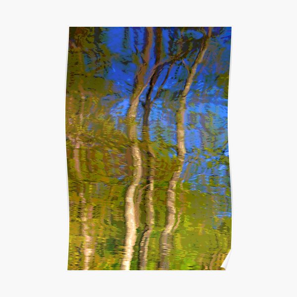 Reflections of Trees Poster