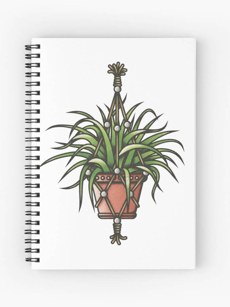 Spider plant in a pot tattoo  Tattoogridnet